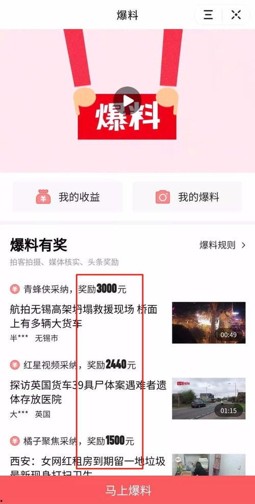 阜阳头条最新爆料,最新爆料事件深度解析  第3张