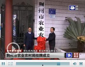 荆州市小电视台新闻爆料,揭露当地民生问题,关注市民呼声 第3张 荆州市小电视台新闻爆料,揭露当地民生问题,关注市民呼声 第3张