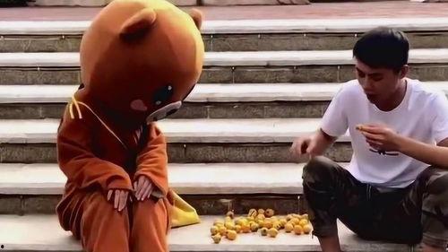 网红熊吃瓜,揭秘娱乐圈幕后真相 第1张 网红熊吃瓜,揭秘娱乐圈幕后真相 第1张